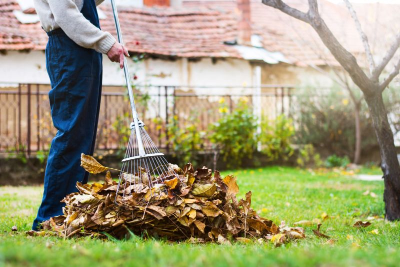 Leaf Raking Benefits