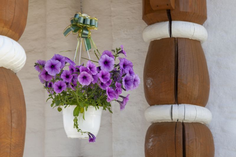 Petunia Containers